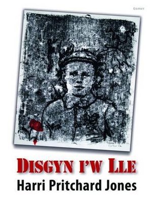 cover image of Disgyn i'w lle